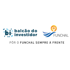 Balcão do Investidor