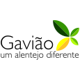 Município de Gavião